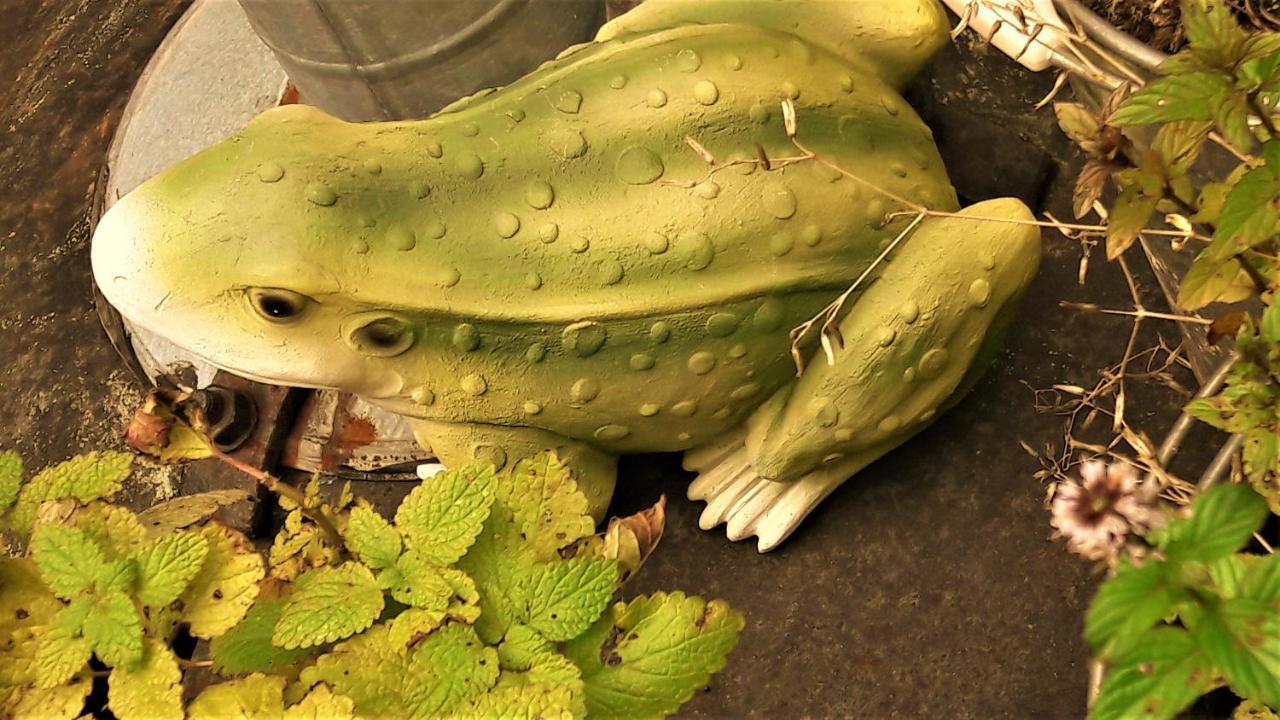 Penzion Pod Orechom Турчьянске-Теплице Экстерьер фото